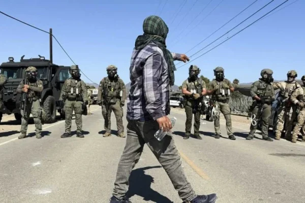 341-predator-anak-ditangkap-di-california-kck
