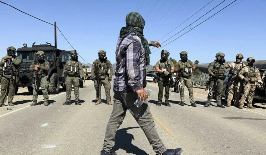 341-predator-anak-ditangkap-di-california-kck