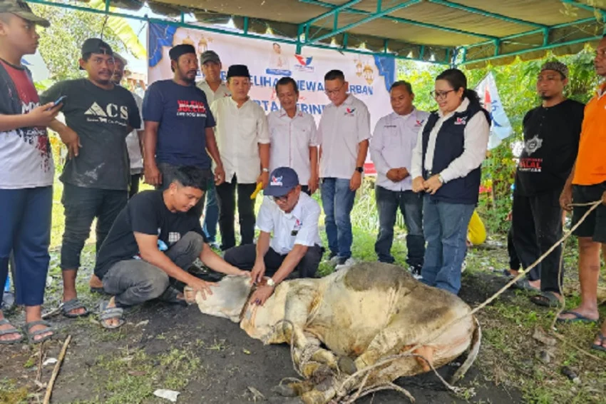 41-hewan-kurban-disalurkan-serentak-di-33-kabupaten-dan-kota-perindo-sumut-perkuat-kepedulian-sosial-mvf