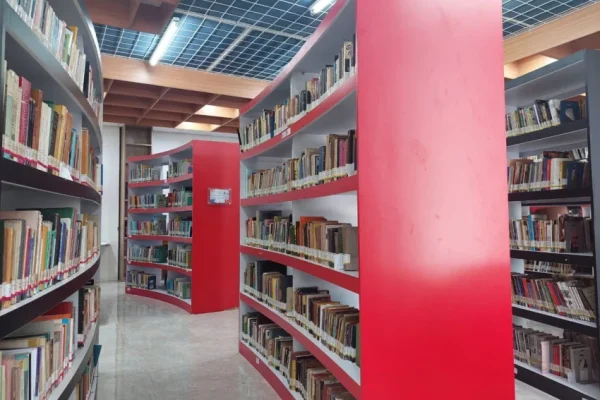 4700-perpustakaan-sekolah-direvitalisasi-kemendikdasmen-dorong-literasi-beu