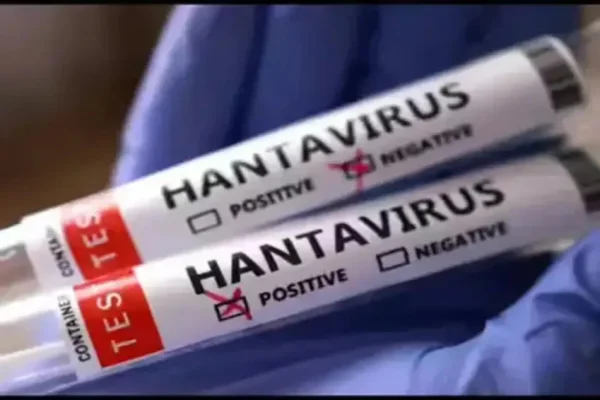 ahli-epidemiologi-sebut-lingkungan-terbuka-lebih-aman-dari-penularan-hantavirus-ogl