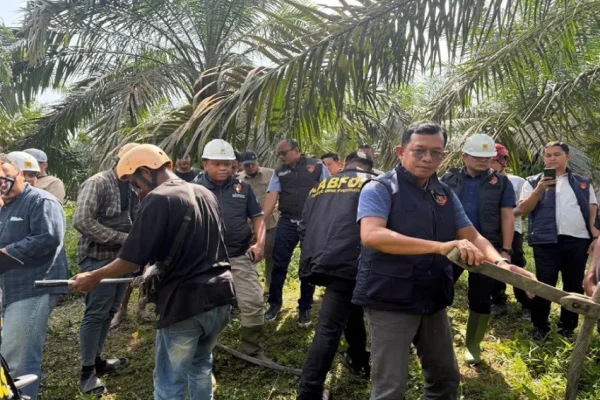 bareskrim-kirim-tim-ke-jambi-usut-penyebab-blackout-di-sumatera-hls