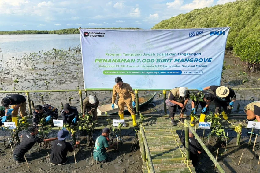 bri-insurance-dan-pnm-tanam-7000-mangrove-di-makassar-zjd