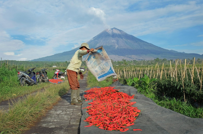 bri-salurkan-kur-rp6595-triliun-jangkau-558000-petani-dan-23000-nelayan-jcz