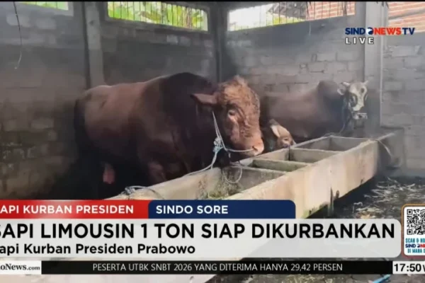 gerindra-sebut-bantuan-1098-sapi-kurban-presiden-prabowo-dari-apbn-sah-pernah-dilakukan-pada-era-jokowi-gyn