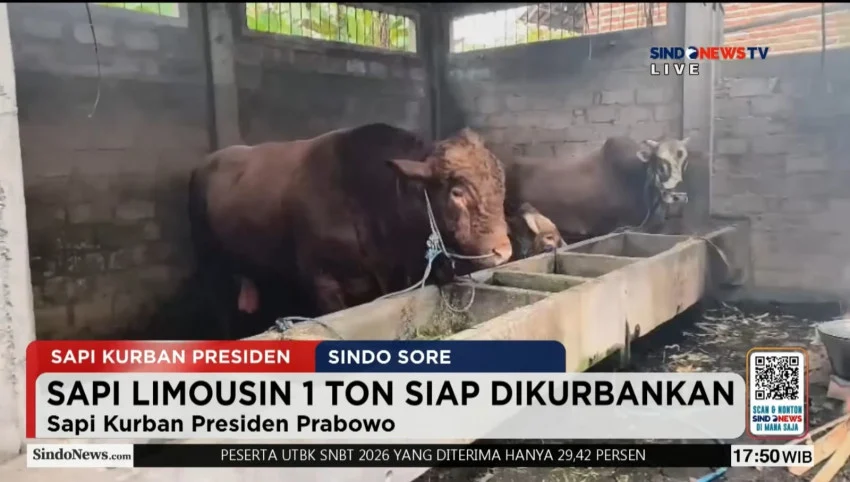 gerindra-sebut-bantuan-1098-sapi-kurban-presiden-prabowo-dari-apbn-sah-pernah-dilakukan-pada-era-jokowi-gyn