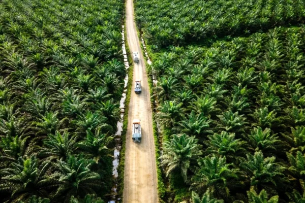 ketidakpastian-hgu-dinilai-ancam-program-biodiesel-b50-dan-masa-depan-industri-sawit-nasional-zde