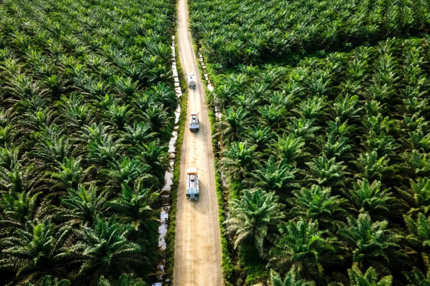 ketidakpastian-hgu-dinilai-ancam-program-biodiesel-b50-dan-masa-depan-industri-sawit-nasional-zde