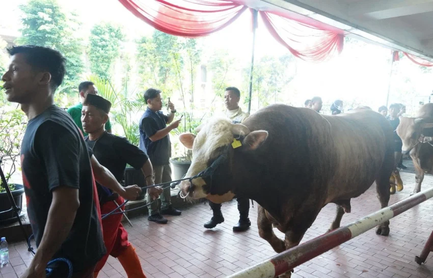 masjid-istiqlal-bagikan-10728-paket-daging-kurban-dikemas-per-1-kg-koc