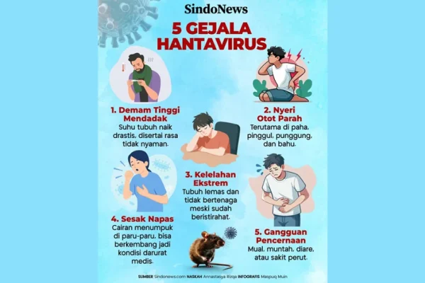 masyarakat-takut-lihat-informasi-hantavirus-di-medsos-legislator-jakarta-pemerintah-harus-beri-edukasi-krx