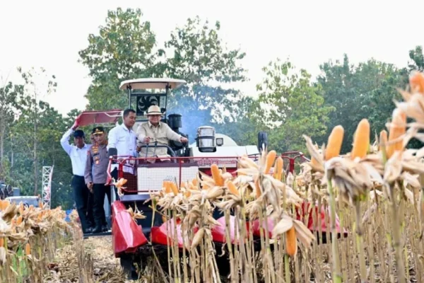 momen-prabowo-panen-raya-jagung-di-tuban-naiki-alat-berat-hingga-pakai-topi-koboi-fmk