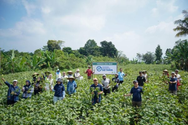 panen-perdana-edamame-sandi-uno-langkah-awal-penguatan-ekonomi-desa-rde