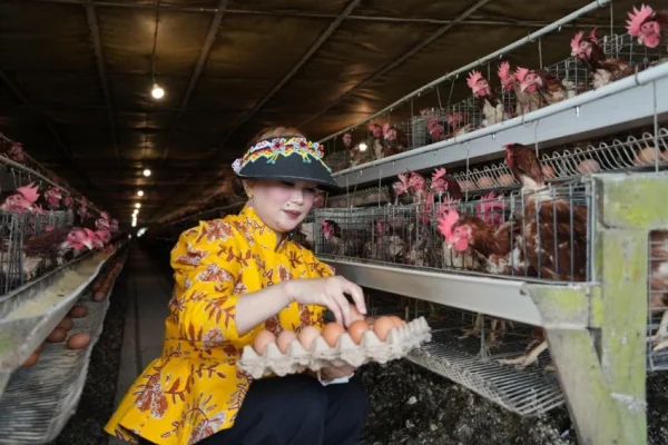 prihatin-harga-telur-anjlok-sarifah-dpr-dorong-kemendag-gandeng-bgn-bnx