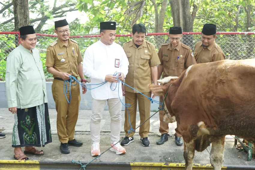 sig-salurkan-292-hewan-kurban-bagi-masyarakat-di-sekitar-area-operasi-lum