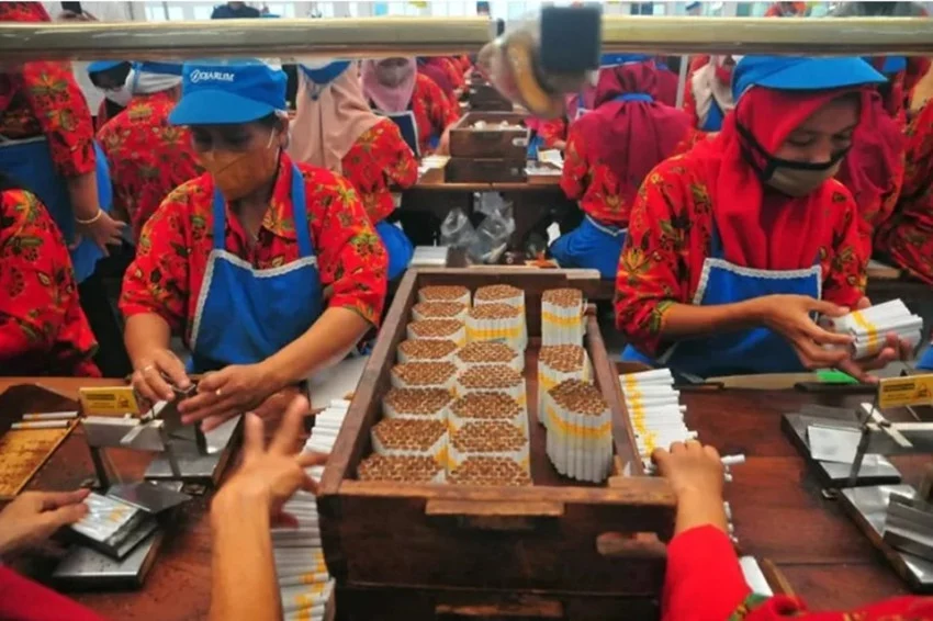 ancam-6-juta-tenaga-kerja-wacana-kemasan-polos-harus-dibatalkan-jyz