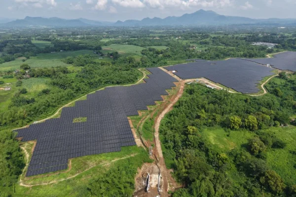 investasi-tepat-sasaran-pertamina-nre-raup-dividen-dari-crec-filipina-bir