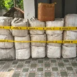 kasus-penyelundupan-796-kg-sisik-trenggiling-wn-vietnam-diserahkan-ke-kejari-cilegon-yqy