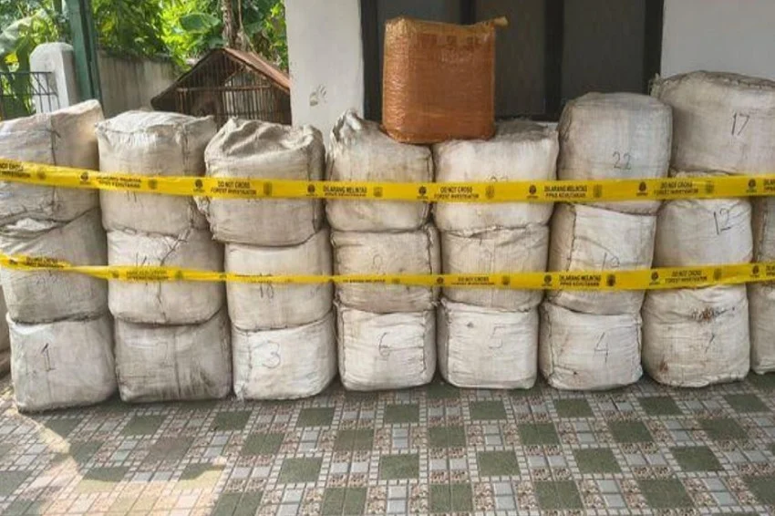 kasus-penyelundupan-796-kg-sisik-trenggiling-wn-vietnam-diserahkan-ke-kejari-cilegon-yqy