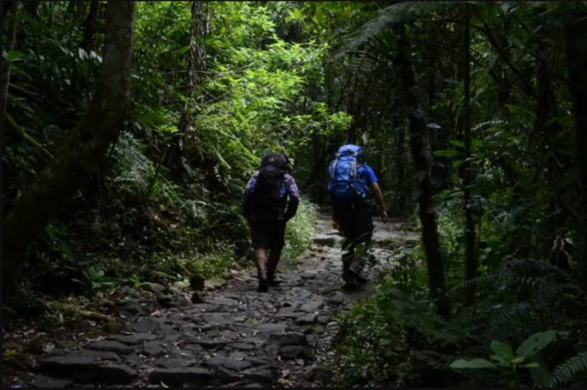 pendakian-gunung-meningkat-menhut-siapkan-pengaturan-untuk-cegah-kecelakaan-dan-sampah-njc