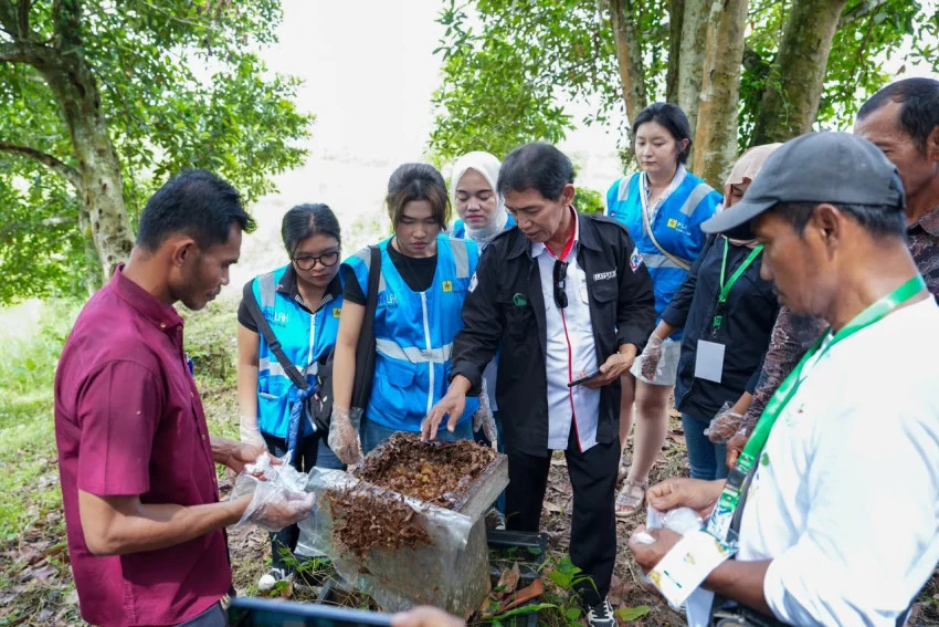 pln-epi-dorong-umkm-naik-kelas-lewat-budidaya-madu-kelulut-llh