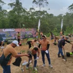 rooting-for-future-pama-bersama-ugm-dan-oikn-penanaman-pohon-bersama-gmn