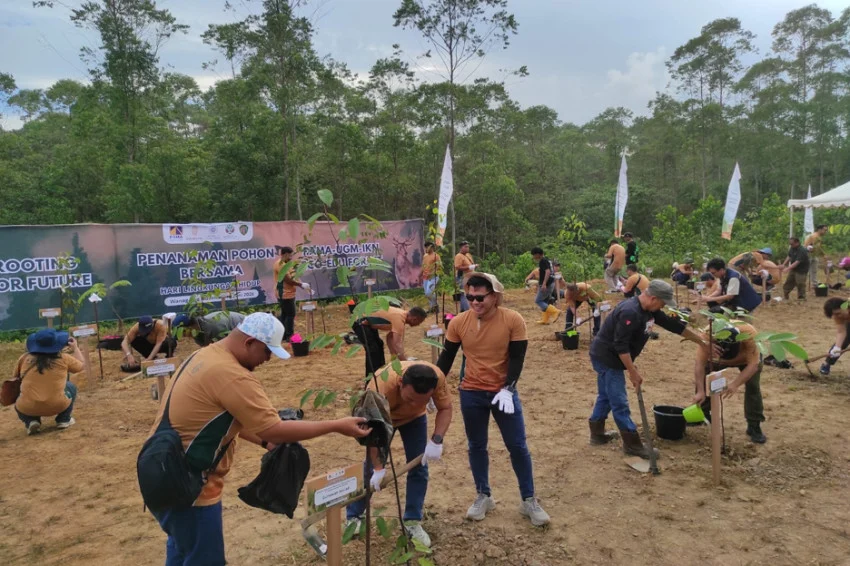 rooting-for-future-pama-bersama-ugm-dan-oikn-penanaman-pohon-bersama-gmn