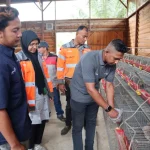 sig-sulap-60-ton-sampah-kelapa-jadi-pakan-ternak-peternak-di-aceh-hemat-60-wzn