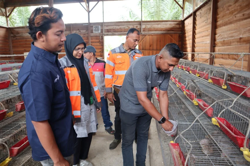 sig-sulap-60-ton-sampah-kelapa-jadi-pakan-ternak-peternak-di-aceh-hemat-60-wzn
