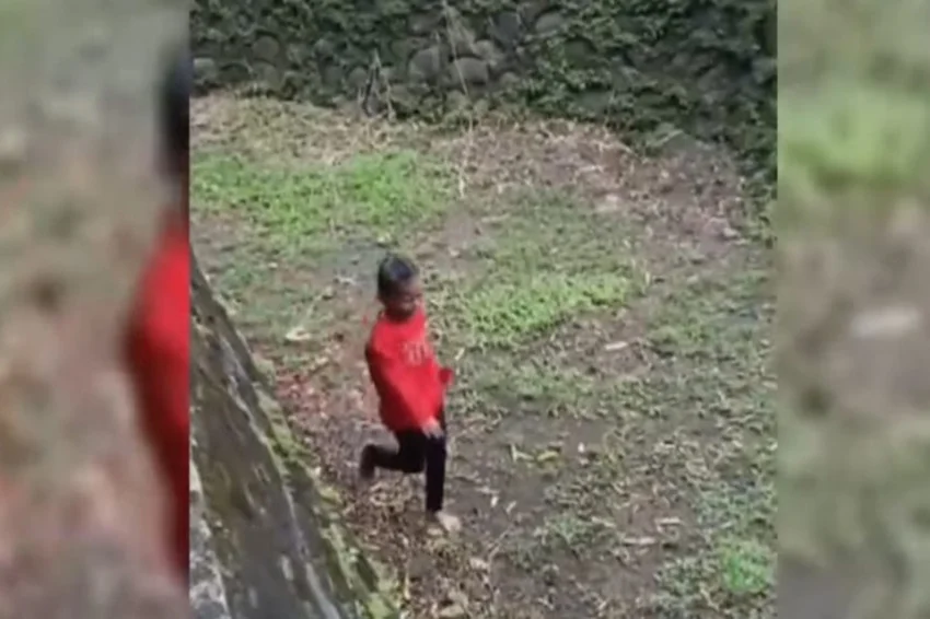 viral-bocah-nyaris-masuk-kandang-gajah-ragunan-pengelola-curiga-sengaja-zoj