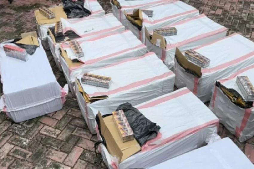 bea-cukai-pantoloan-gagalkan-peredaran-224-ribu-batang-rokok-ilegal-di-palu-sst
