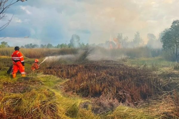 bnpb-karhutla-landa-tiga-daerah-terparah-di-banjarbaru-kalsel-fwn
