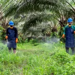 gapki-tegaskan-industri-sawit-ri-terapkan-standar-keselamatan-kerja-berkelanjutan-ocv