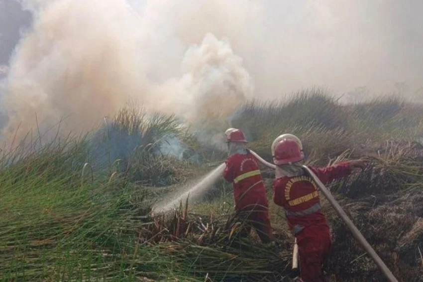 kemenhut-107465-hektare-lahan-ludes-terbakar-sepanjang-2026-iao