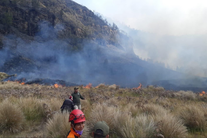 60-hektare-savana-di-gunung-bromo-terbakar-jalur-wisata-ditutup-sementara-nkm