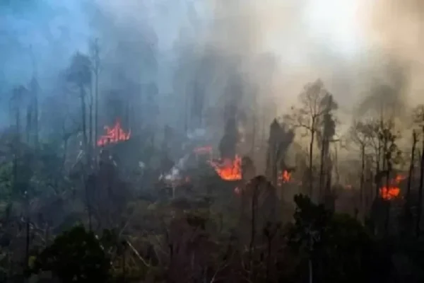 atasi-karhutla-di-riau-kalbar-dan-kalteng-kemenhut-gelar-operasi-modifikasi-cuaca-cnk