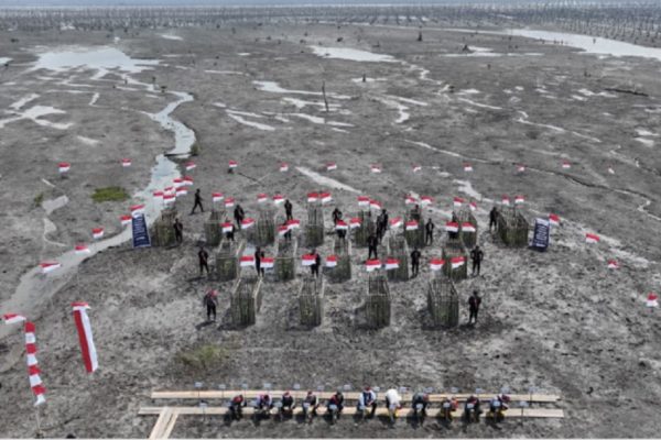 ekspedisi-merah-putih-presisi-polda-riau-pulihkan-1000-hektare-mangrove-iff