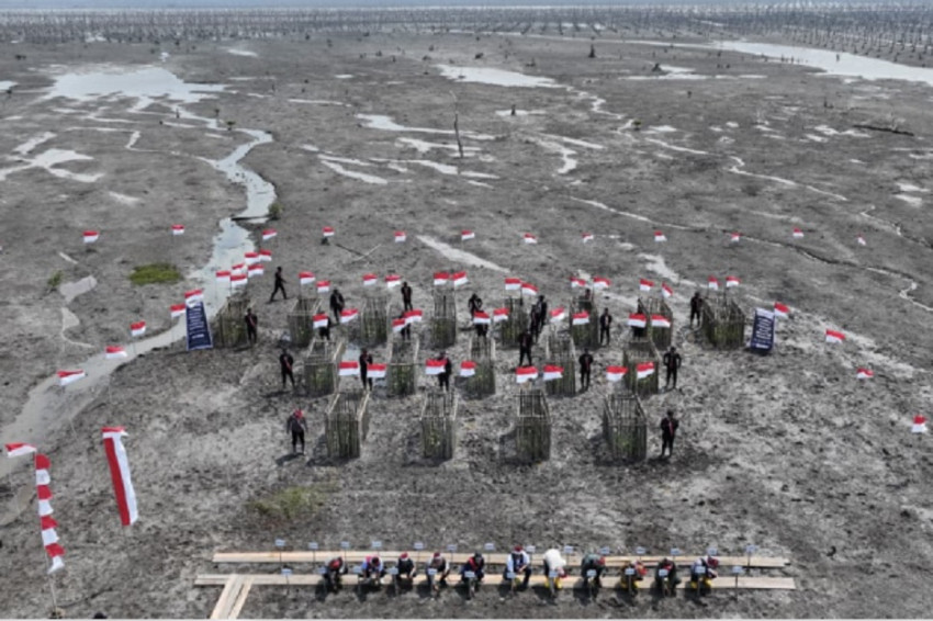 ekspedisi-merah-putih-presisi-polda-riau-pulihkan-1000-hektare-mangrove-iff