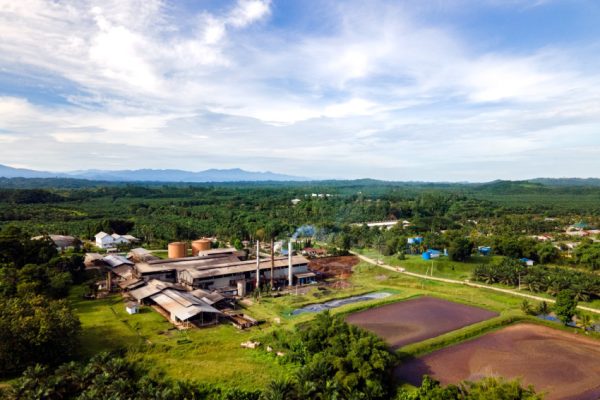indonesia-punya-potensi-besar-kembangkan-biogas-dari-limbah-sawit-zmt