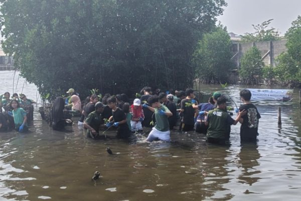 kolaborasi-dengan-mnc-peduli-tanam-mangrove-di-marunda-seeds-of-hope-berharap-menginspirasi-banyak-orang-cia