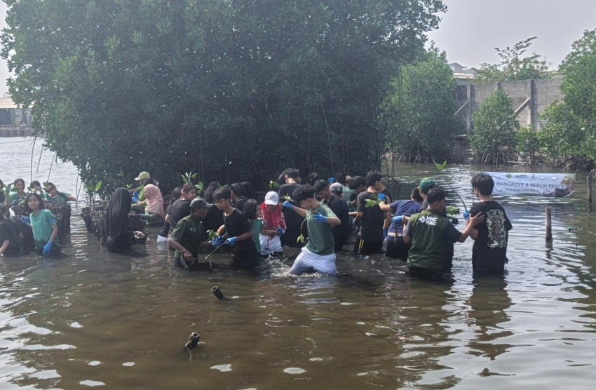 kolaborasi-dengan-mnc-peduli-tanam-mangrove-di-marunda-seeds-of-hope-berharap-menginspirasi-banyak-orang-cia