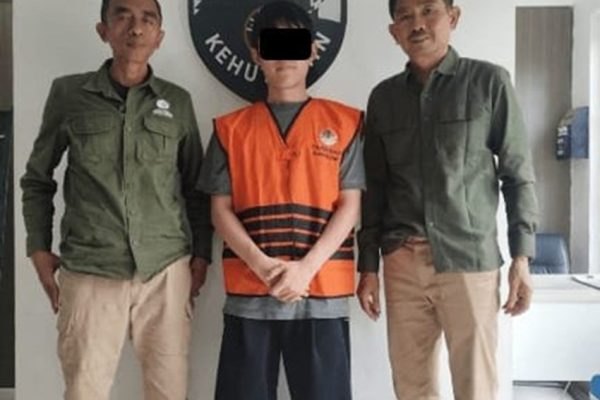penyelundupan-8-biawak-ke-seoul-digagalkan-kemenhut-wn-korea-jadi-tersangka-mhj