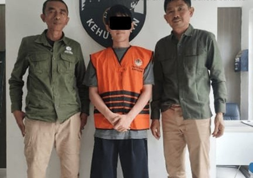 penyelundupan-8-biawak-ke-seoul-digagalkan-kemenhut-wn-korea-jadi-tersangka-mhj