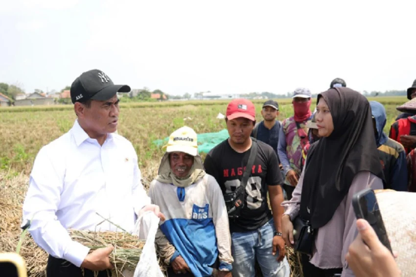 indexpolitica-nilai-kinerja-mentan-amran-tertinggi-di-kabinet-merah-putih-raih-skor-91-qni